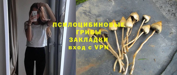 амф Алексин