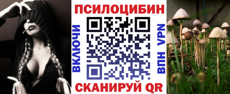 Псилоцибиновые грибы Psilocybine cubensis  наркошоп  Шелехов 
